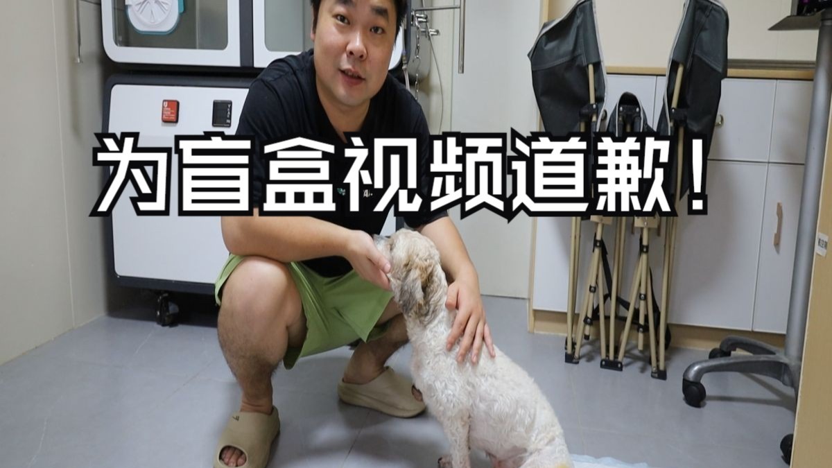 为盲盒的事儿给大家道歉！