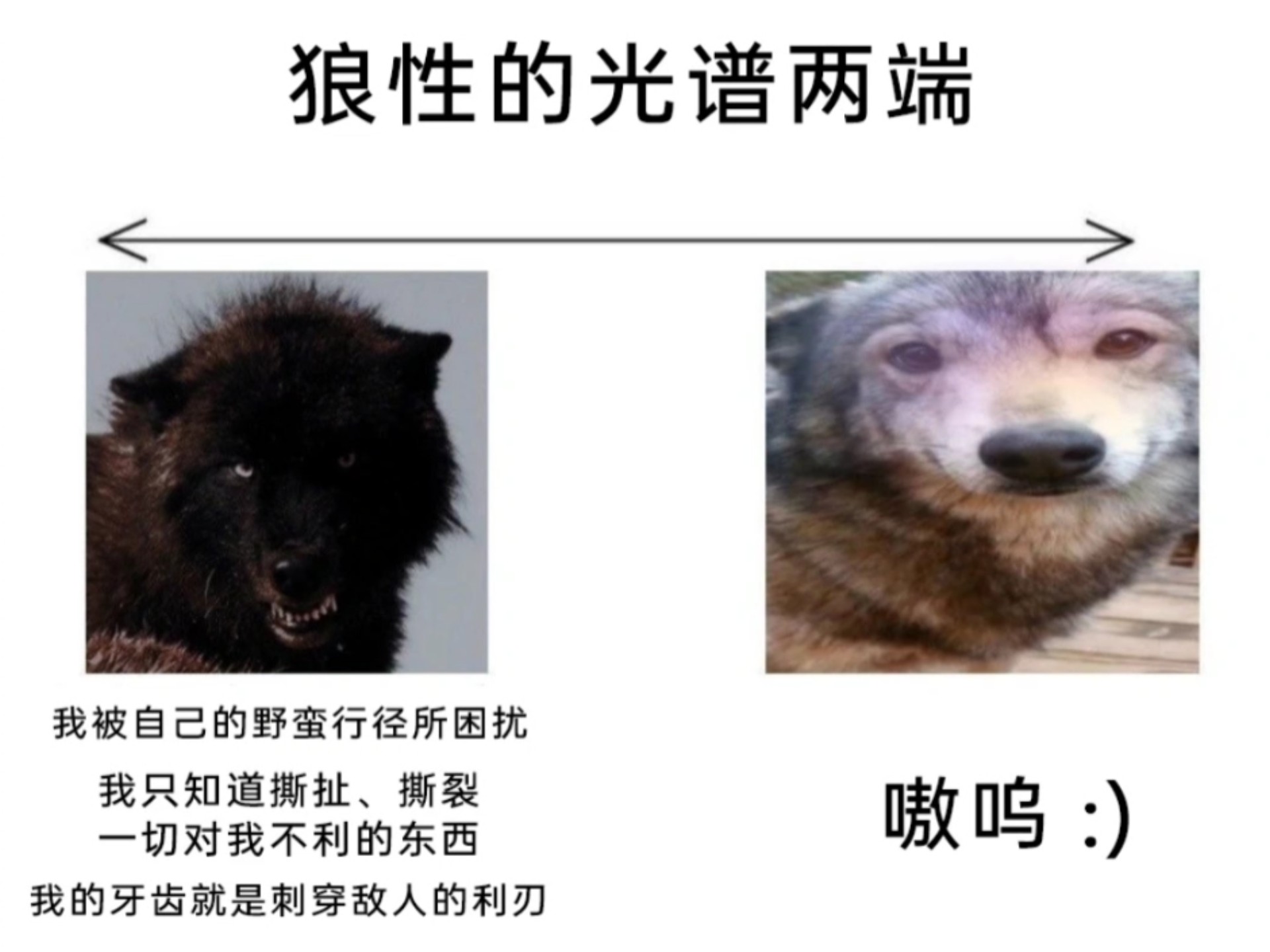 狼性的光谱两端...嗷呜：)