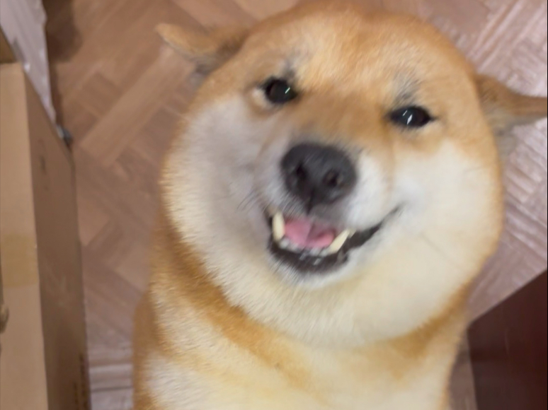 今天的欢迎很是收敛_(:з」∠)_