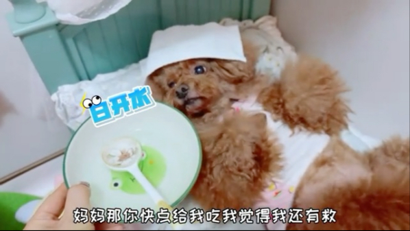 艾米病了，主动要求吃药、量体温，妈妈为了艾米也是操碎了心