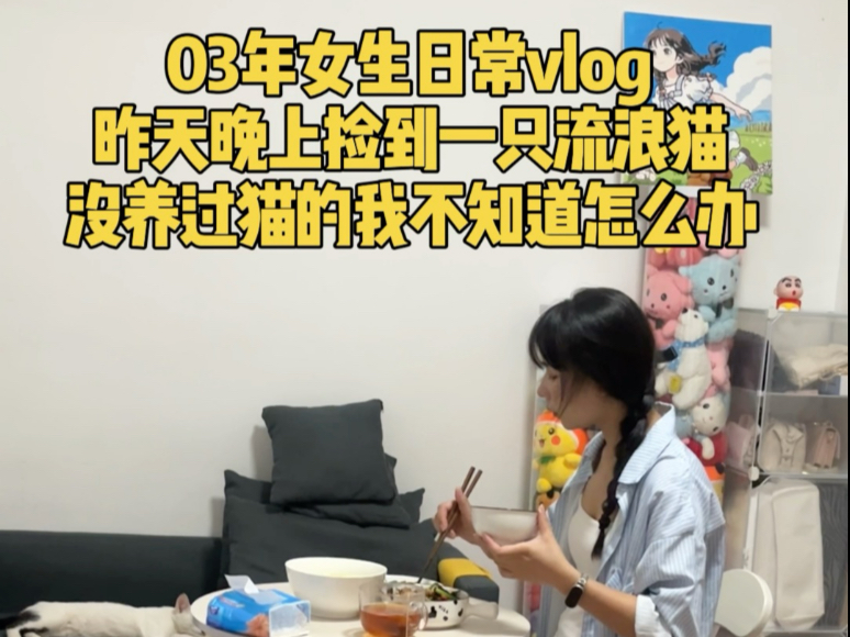 没养过猫没经验，有没有养过猫的网友给点意见，捡回来的流浪猫要