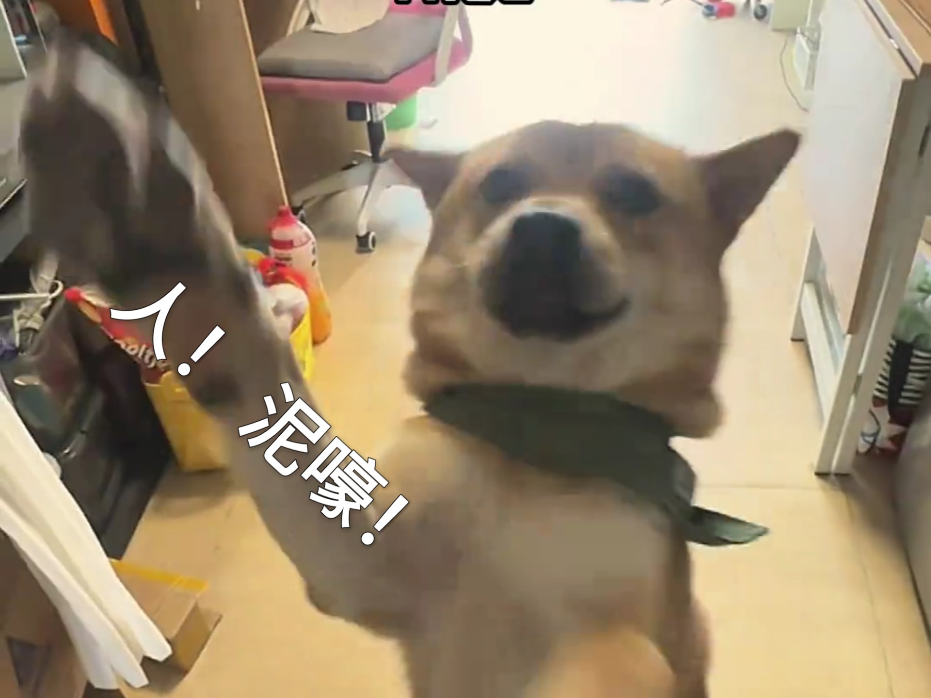 人！ 我们天下第一好！
