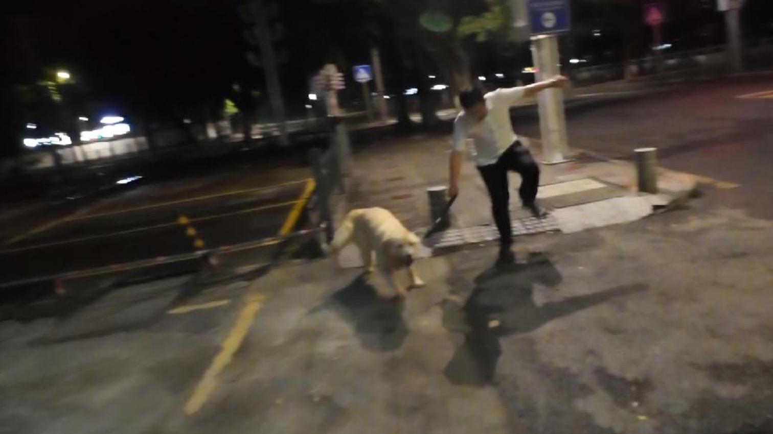 狗狗好像天生就会照顾人类的情绪