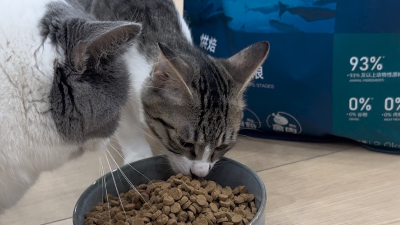 线下揭秘！撕开鲜朗新鲜背后的真相