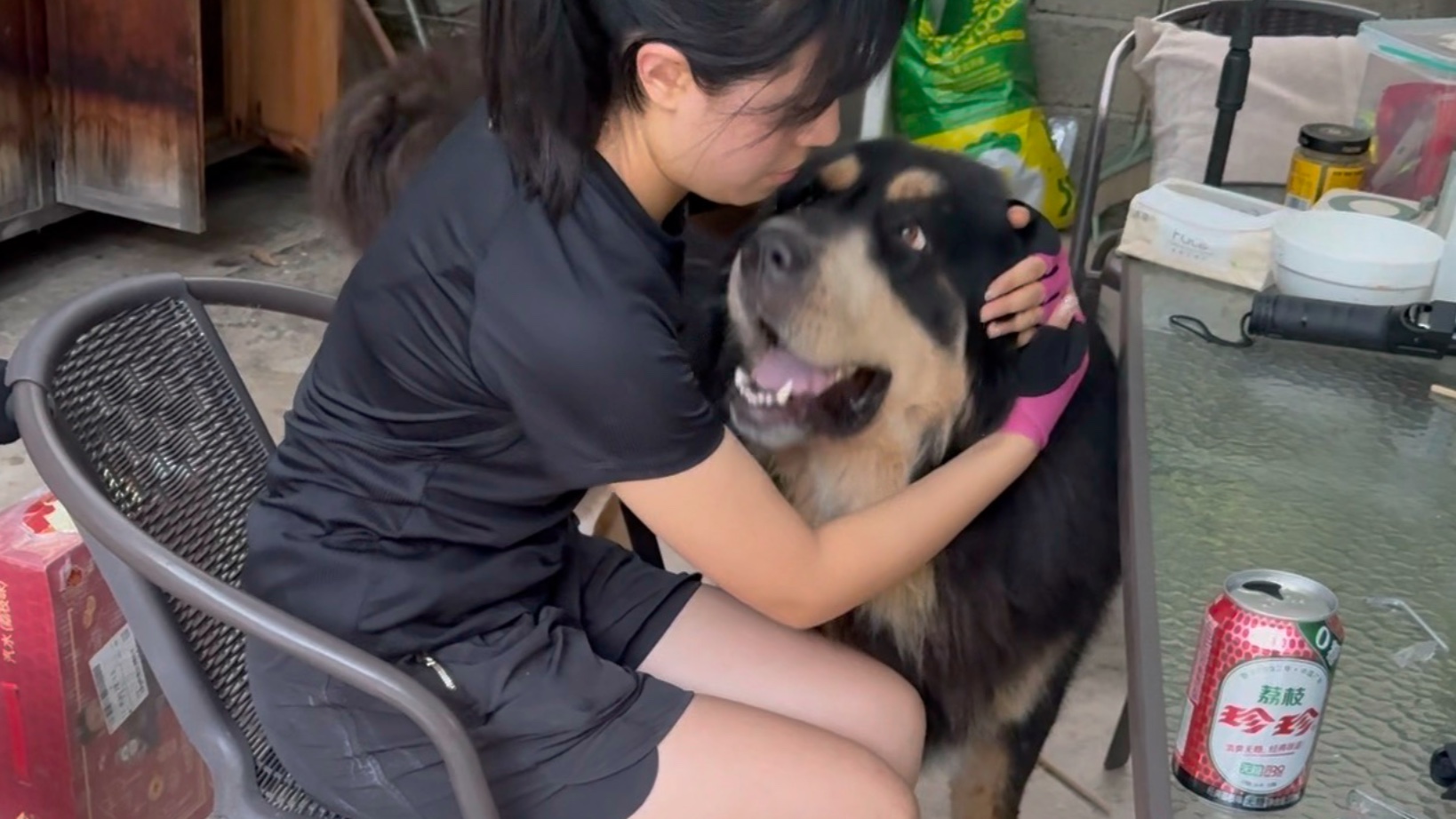 朋友每次来我这玩我都有一种感觉，她随时会被几只狗给创飞……