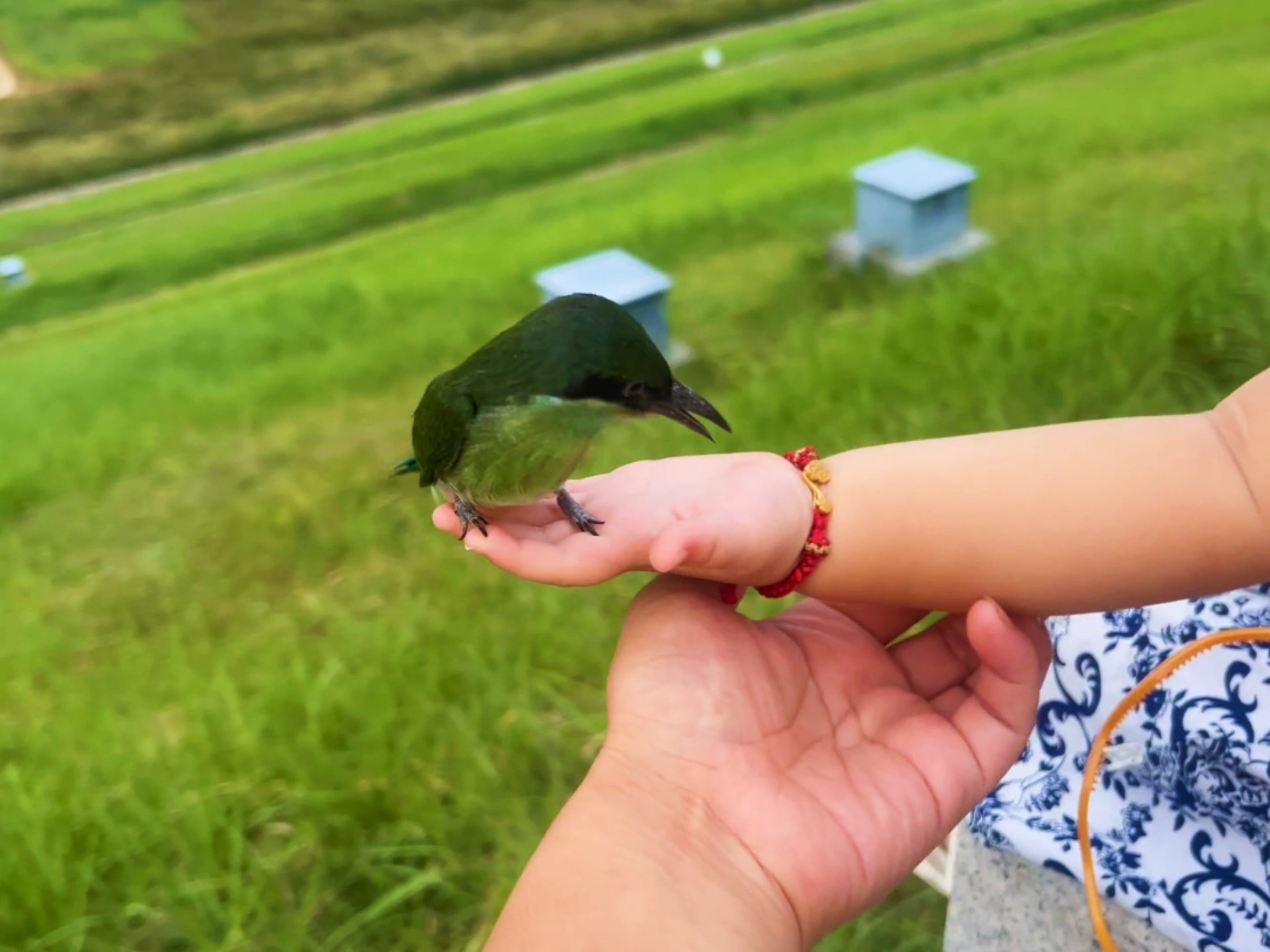 御风飞行的感觉应该很不错吧！