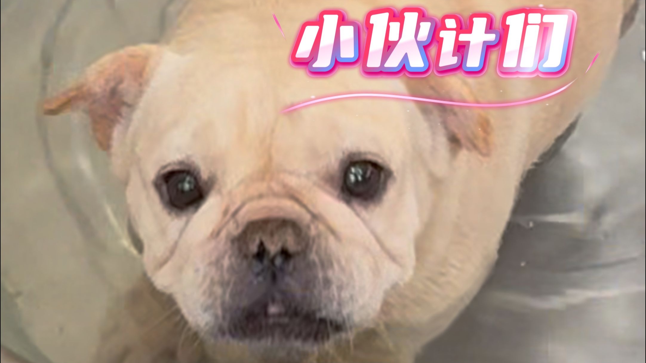 世界上的好都是我以为的