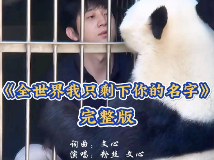 一场告别，背后是一场国事，还是一场网暴？ 致敬所有熊猫守护者。