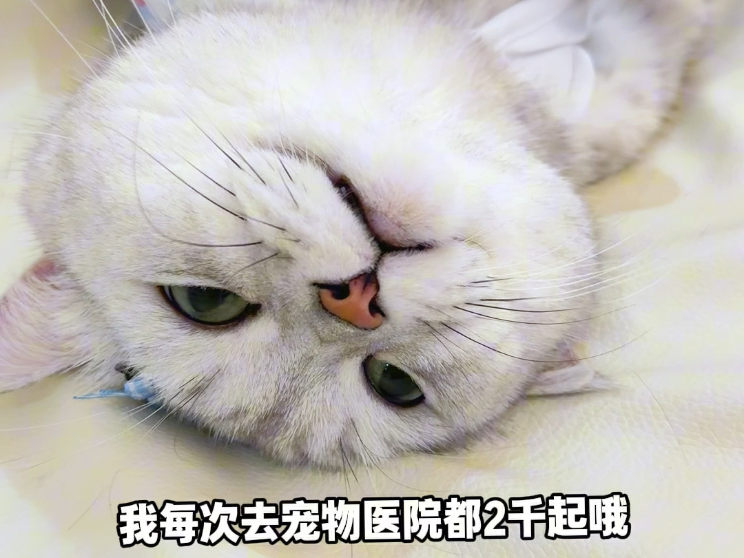 听说你没有动力上班？
