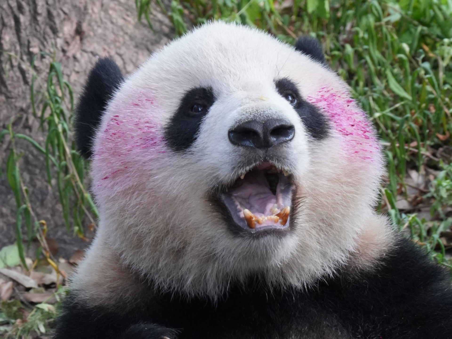 我的女王妞妞生日快乐，今天很圆满
