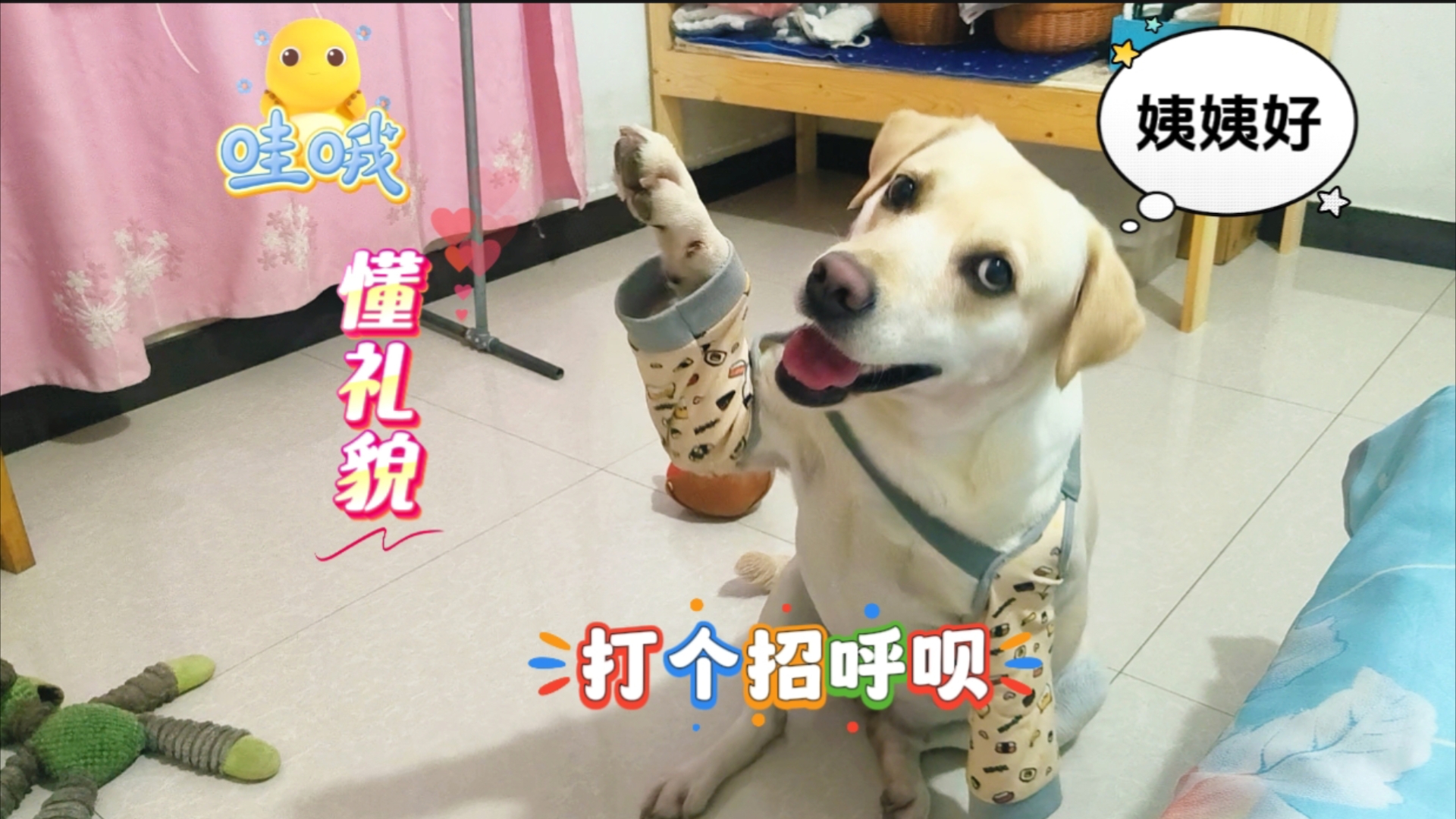 我是懂礼貌的乖宝宝