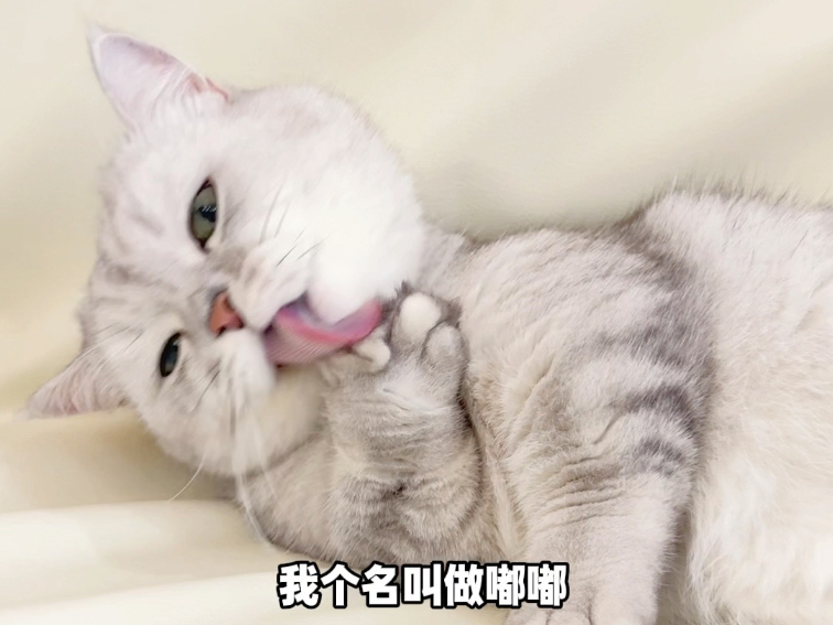 我脏兮兮也有人喜欢！