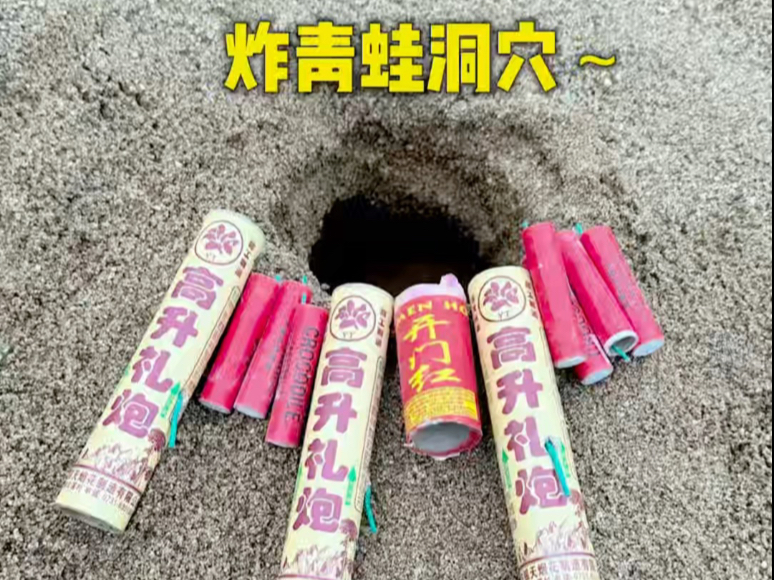 青蛙说；炮手来袭了