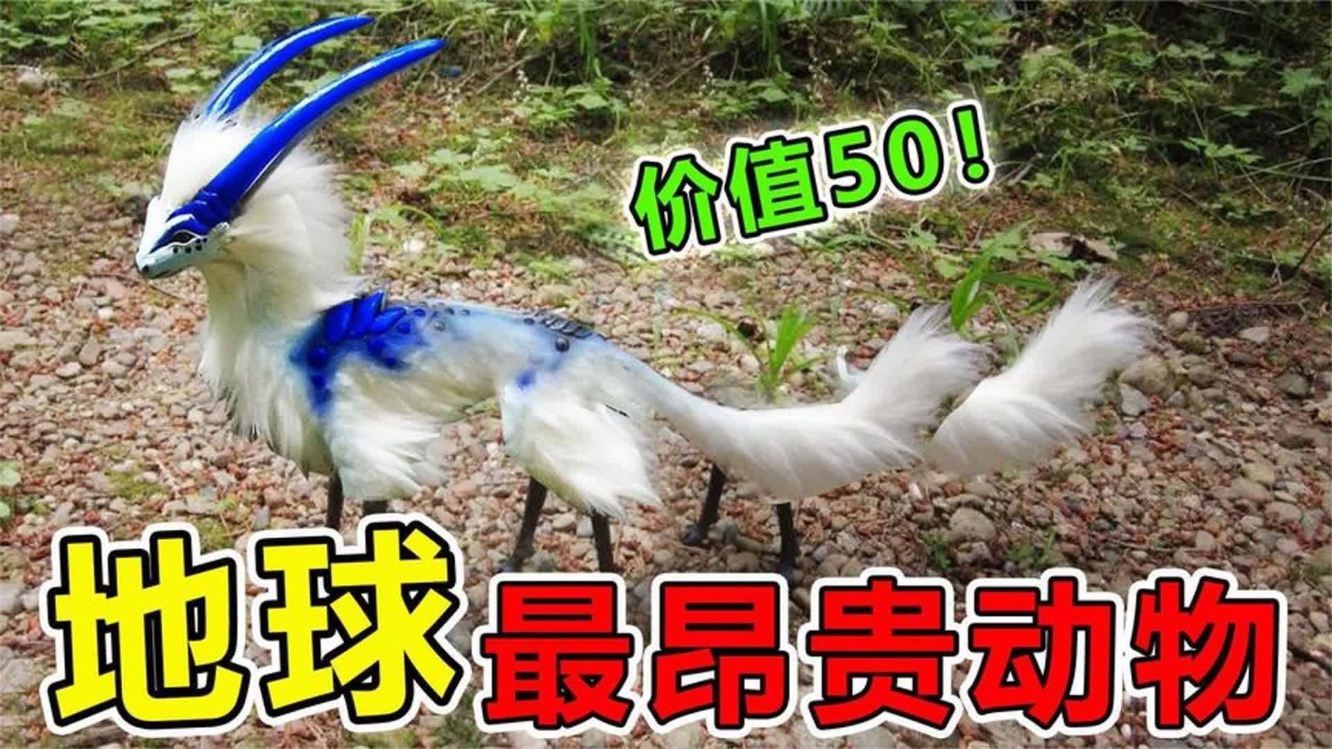 地球上“最昂贵”的10大生物