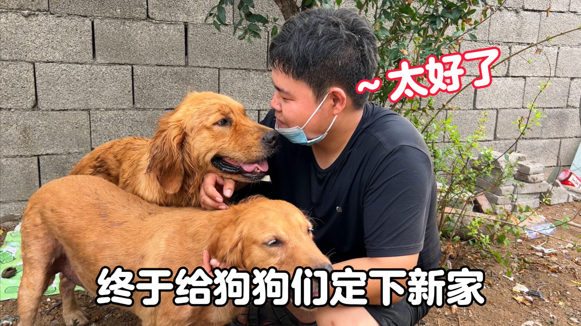 辗转多日，终于为毛孩子们定下新家，虽然忙忙碌碌但一切都值得