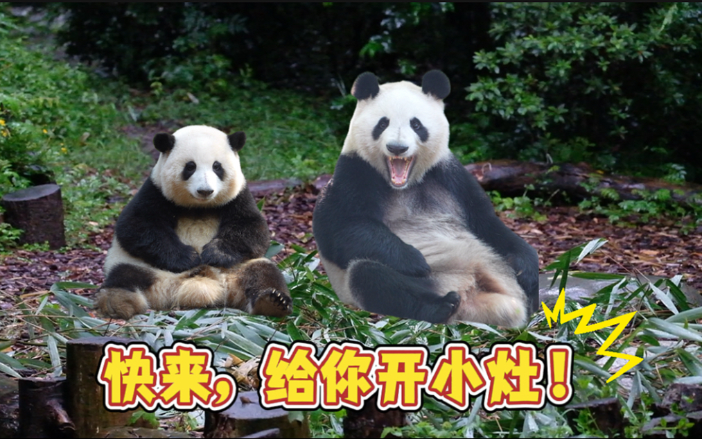 25.08.10 小编你又笨笨的了，快来给你开小灶‼️