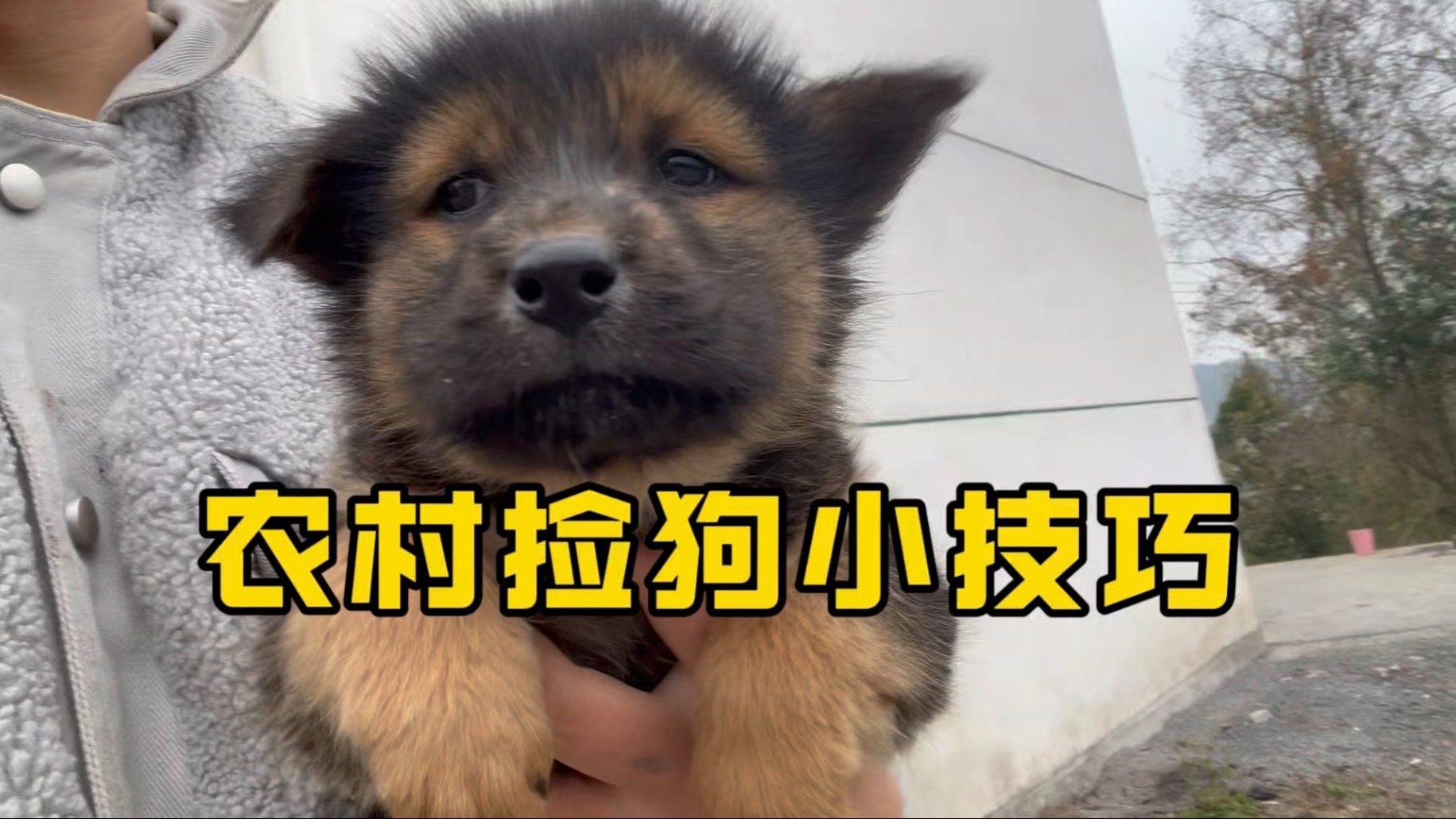 修勾：我要下载反诈APP！