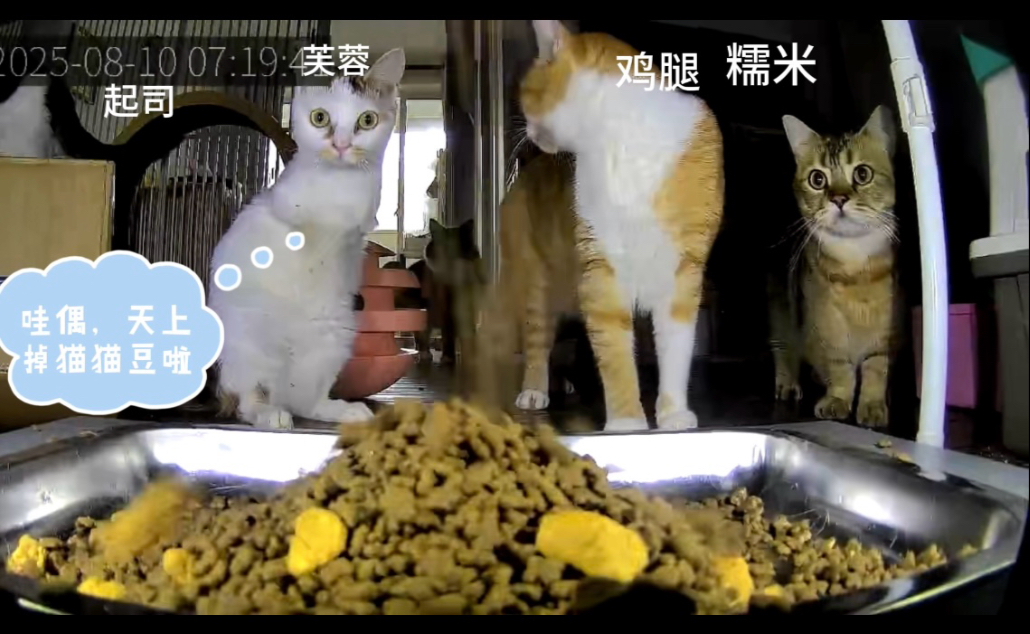 全家只有我需要打工