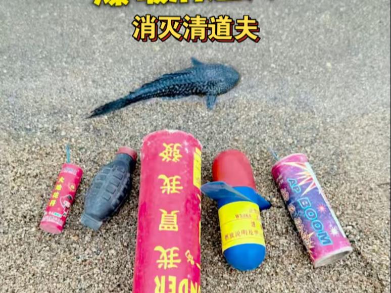 外来入侵物种清道夫