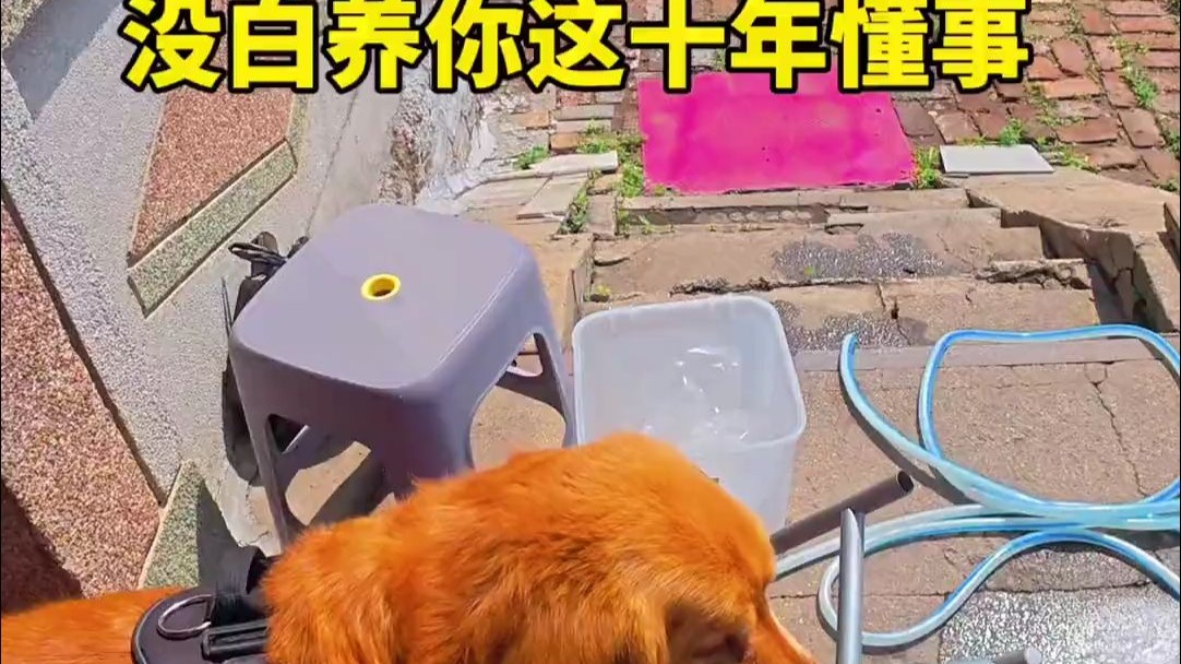 天气热孩子们也不吃饭