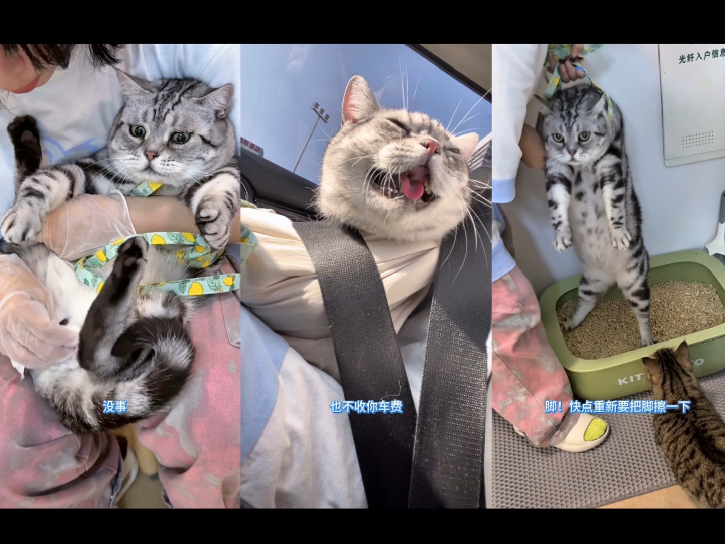 夜店退役喵郎暑假奔现清纯小男大｜一条有味儿的视频