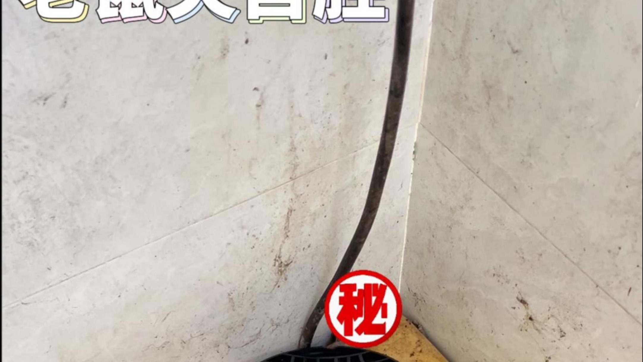 老鼠夹终于拿到首胜