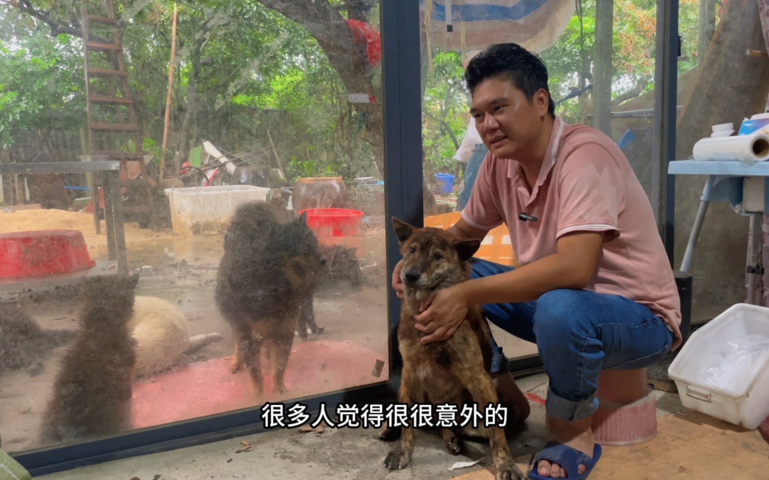 换了一个新场地养狗，一场大雨就暴露出很多问题，这真是一个考验