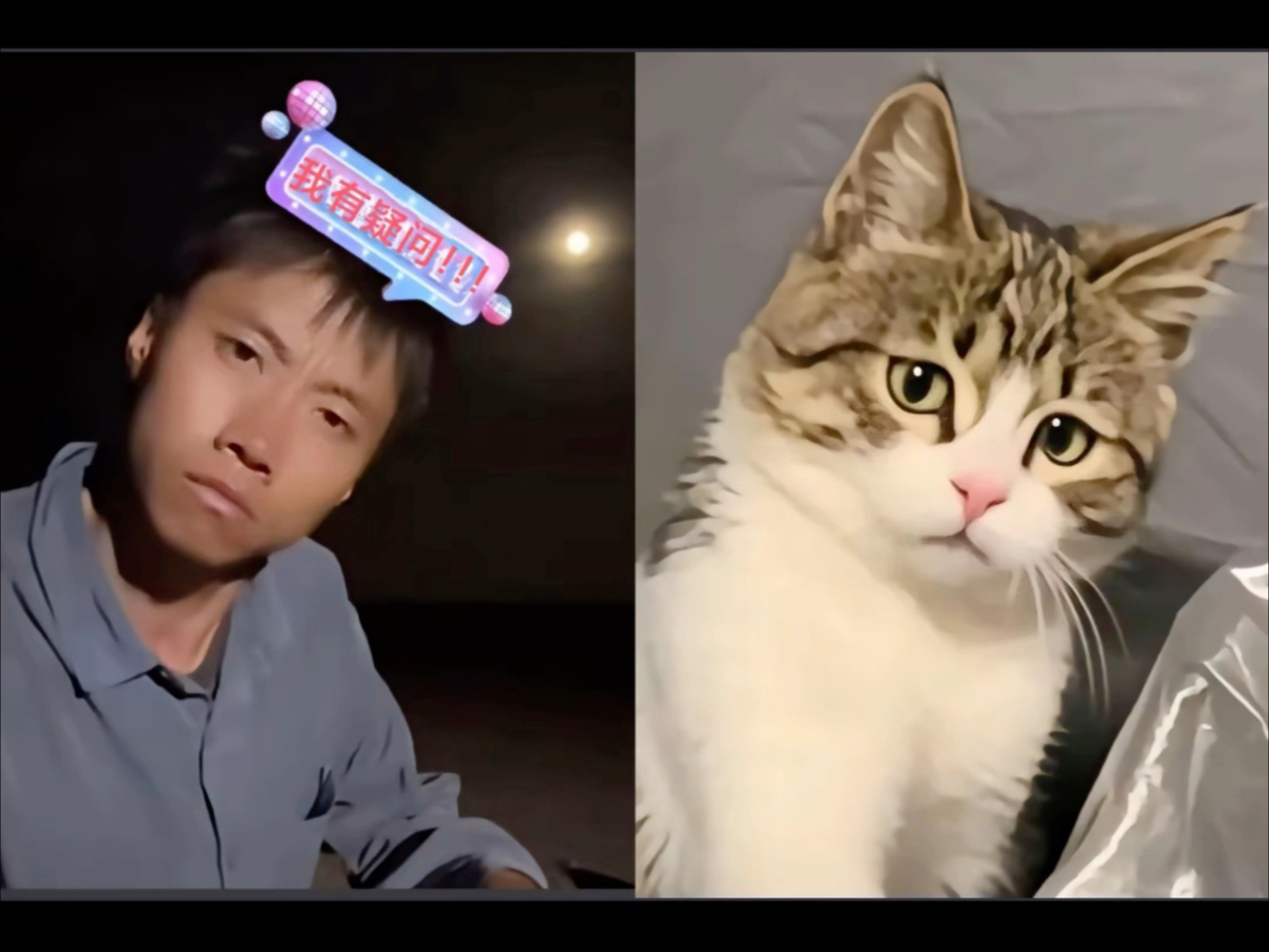 没有悟空的日子第121天。苦涩