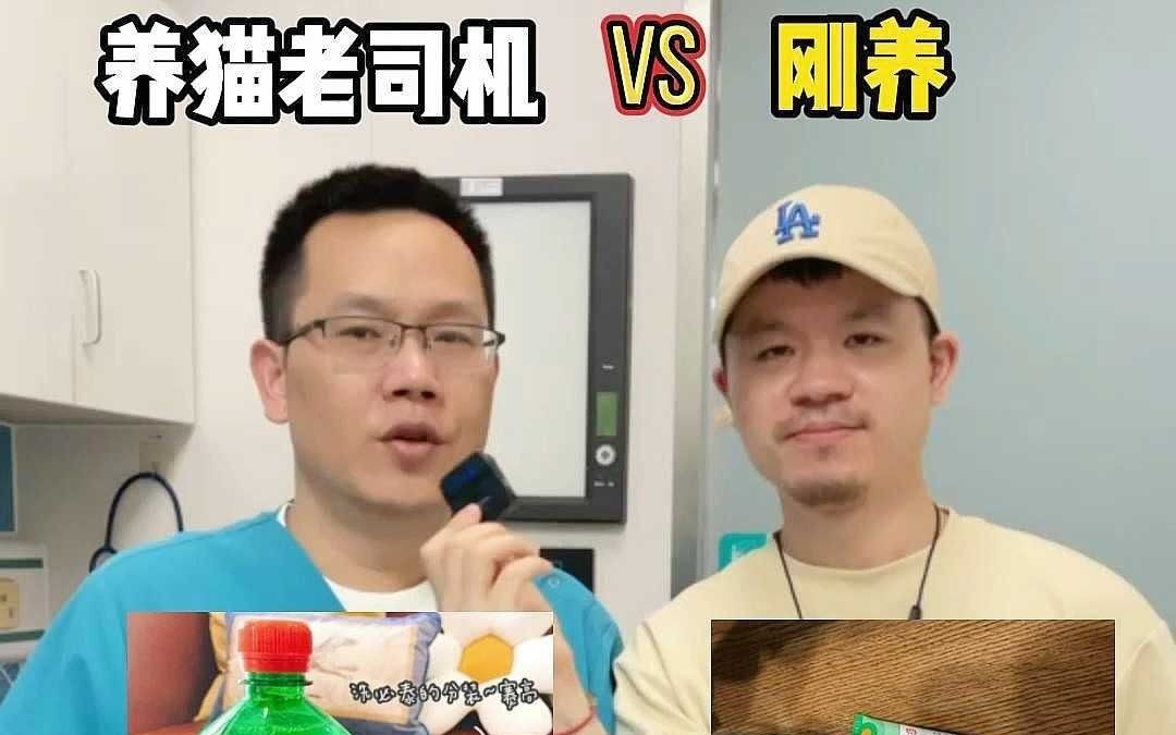 老司机养猫VS刚养猫