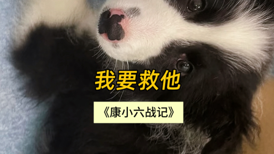 我要救他！