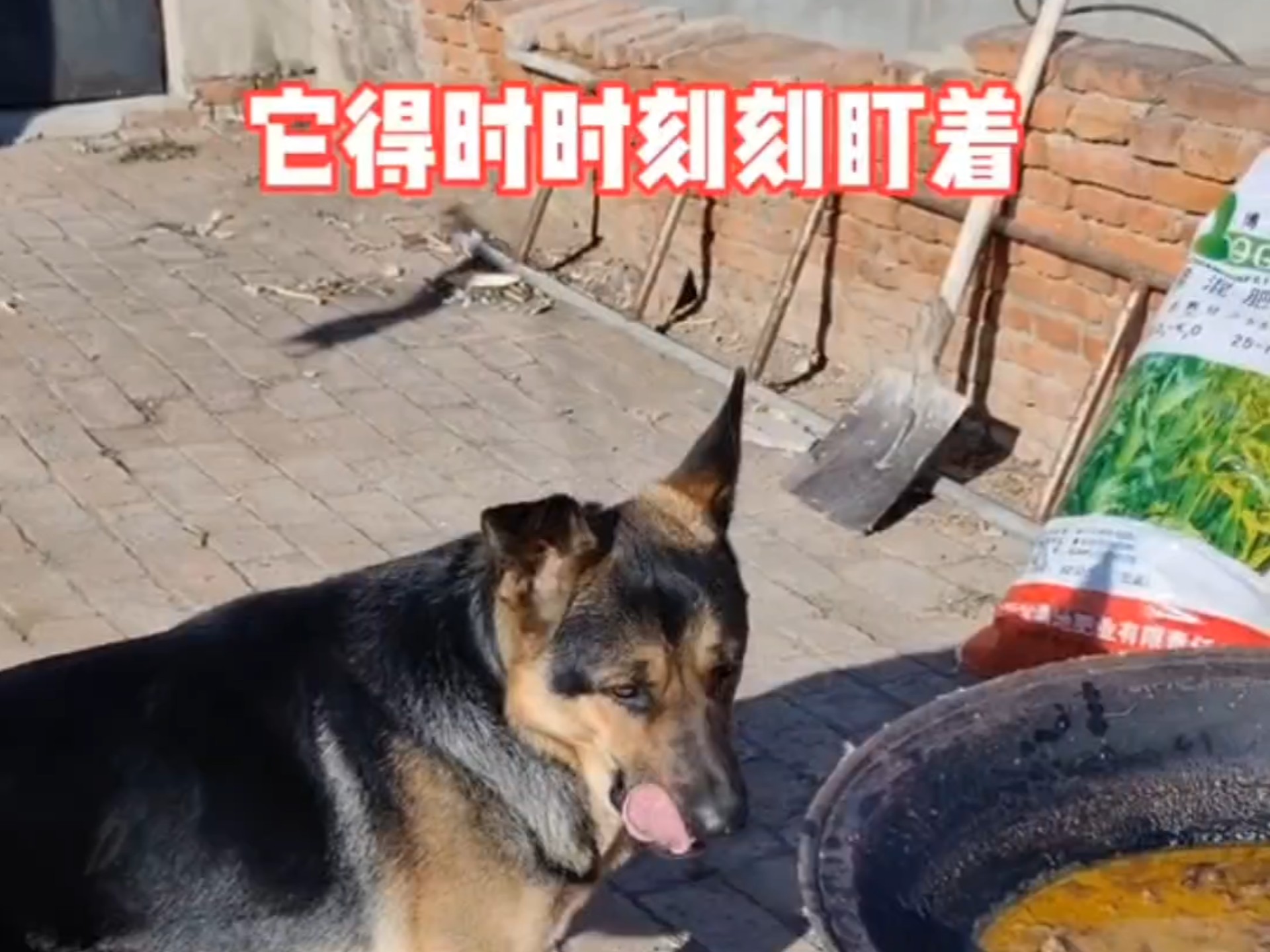 就怕谁抢它吃的～