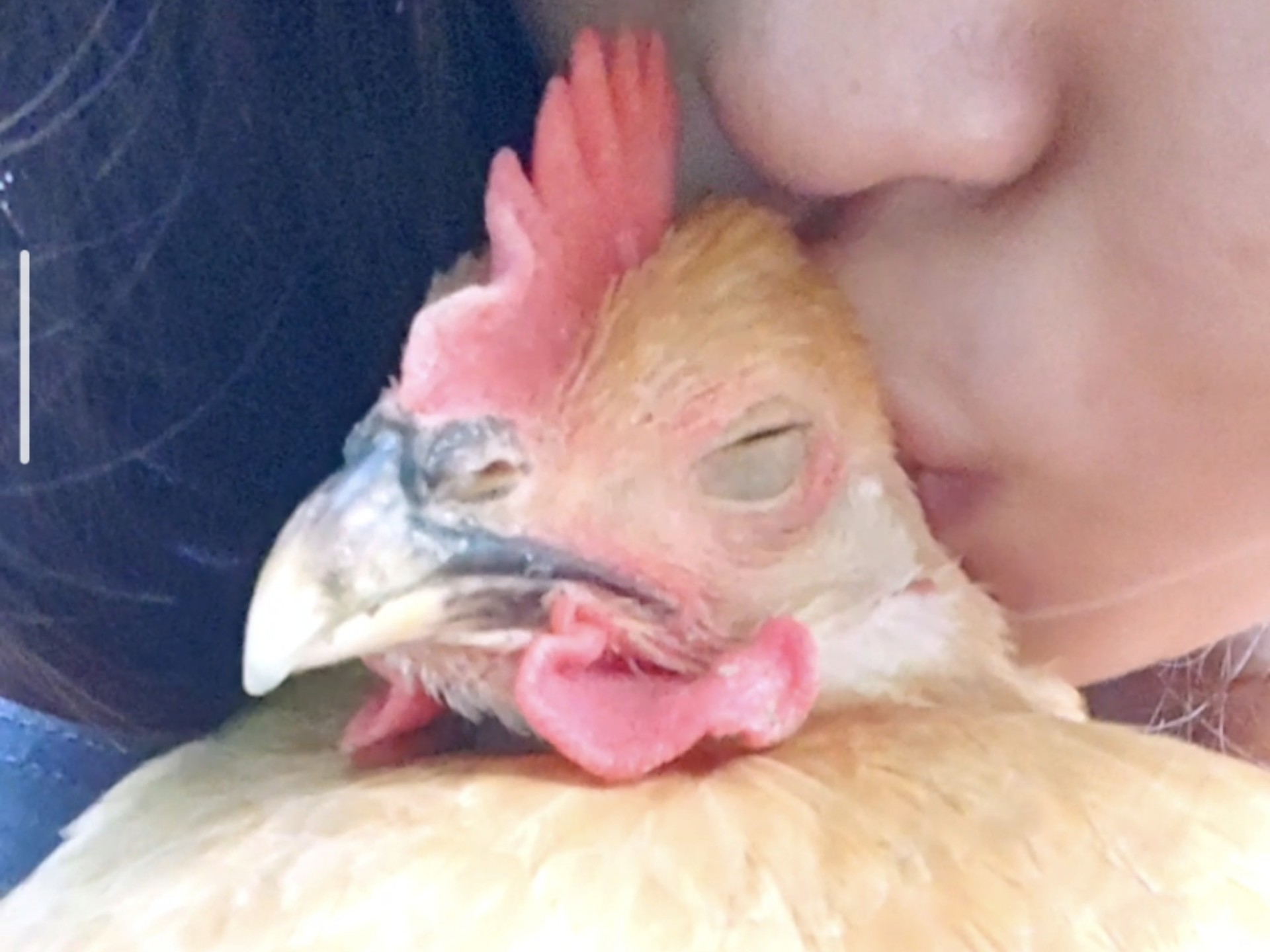 你吃饱了就该我吃了