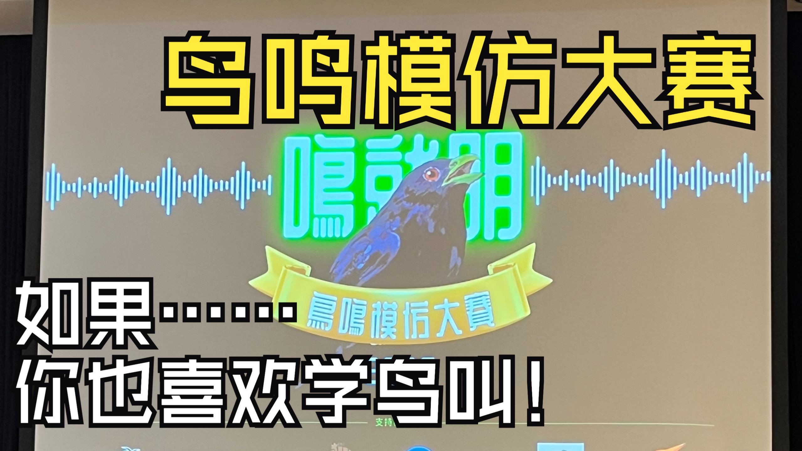 【粤语】“鸣就明”香港第一届鸟鸣模仿大赛2025精彩片段 有