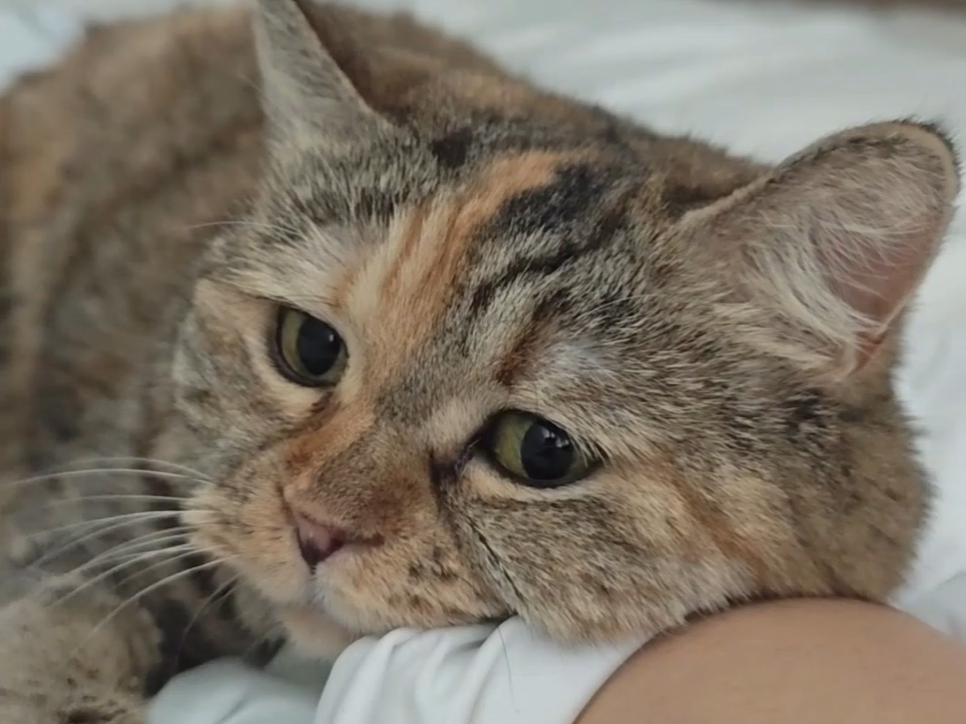 你和咣当互相劝对方起床