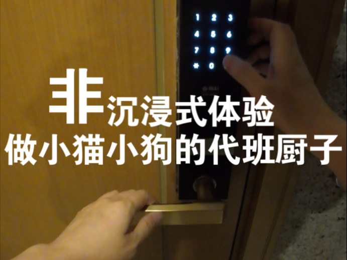 蒜鸟..蒜鸟..小猫小狗都不容易，人也很努力了..