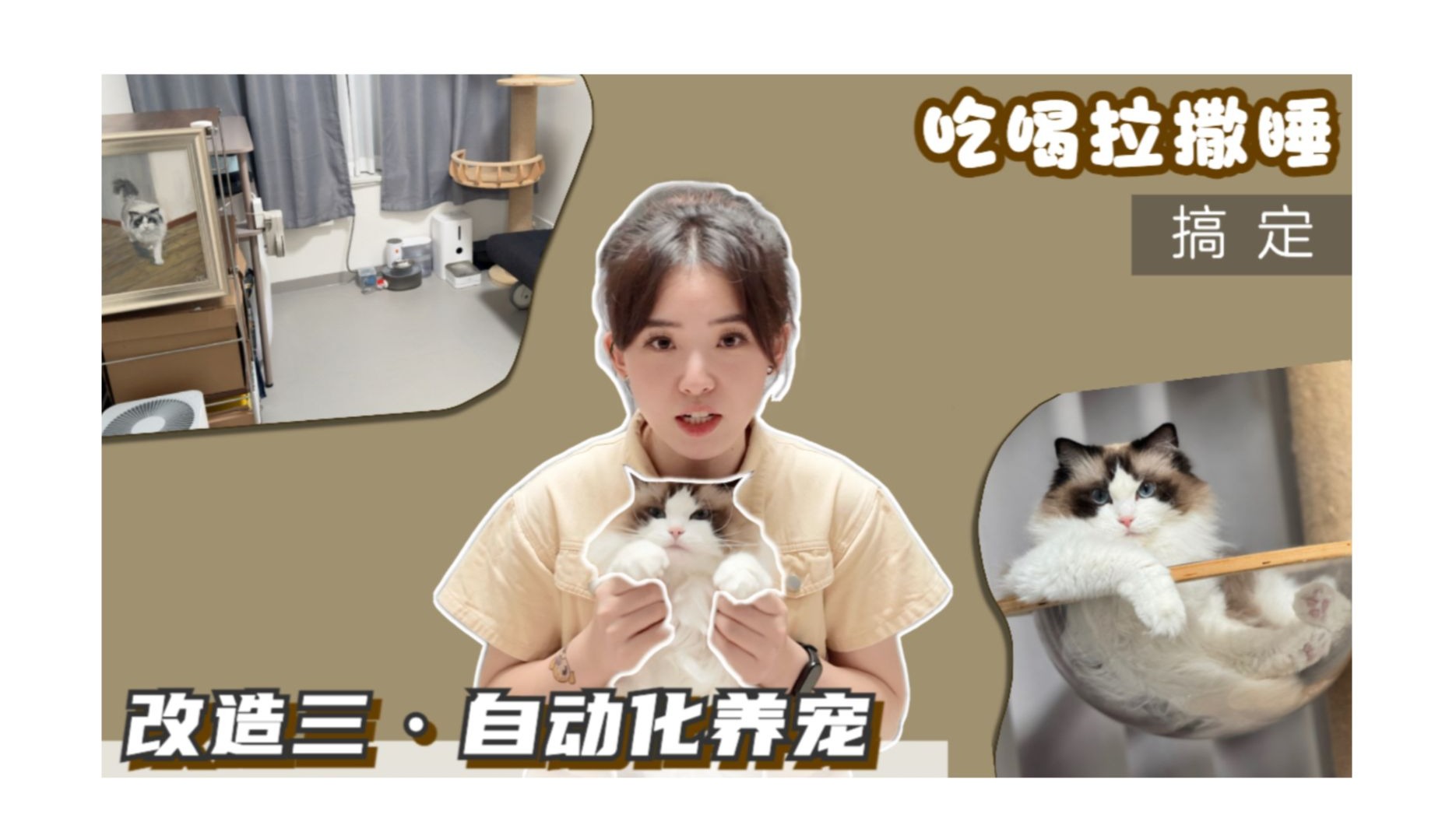 改造结束！轻松实现自动化养宠，吃喝拉撒的衍生问题全解决～