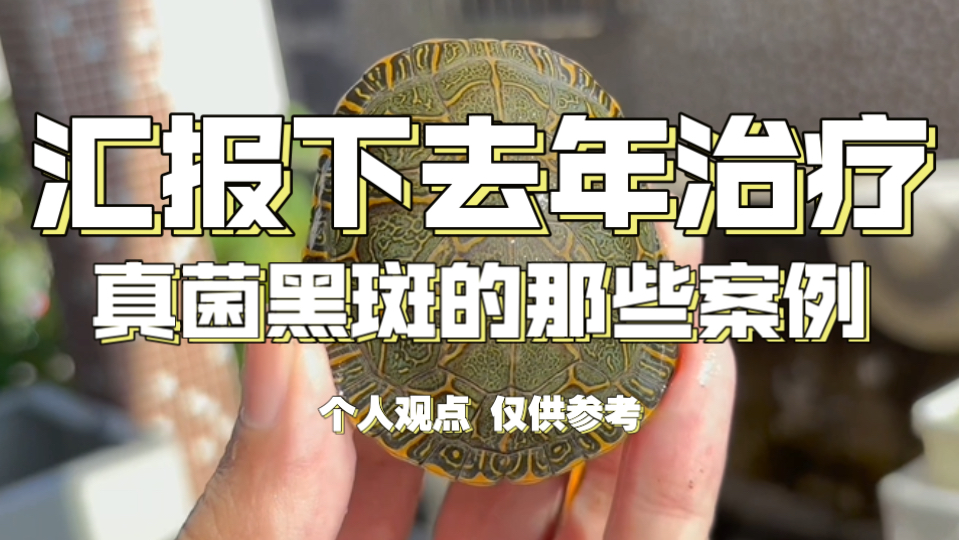 汇报下去年治疗真菌黑斑的那些案例～
