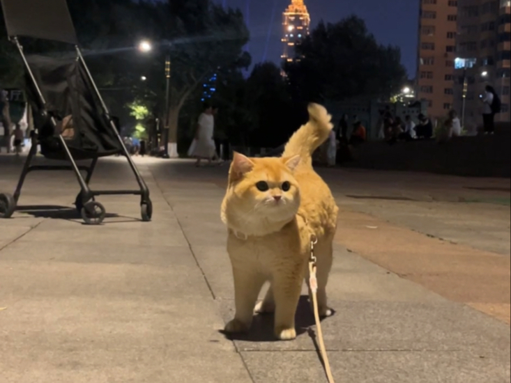 人，喝点吗？