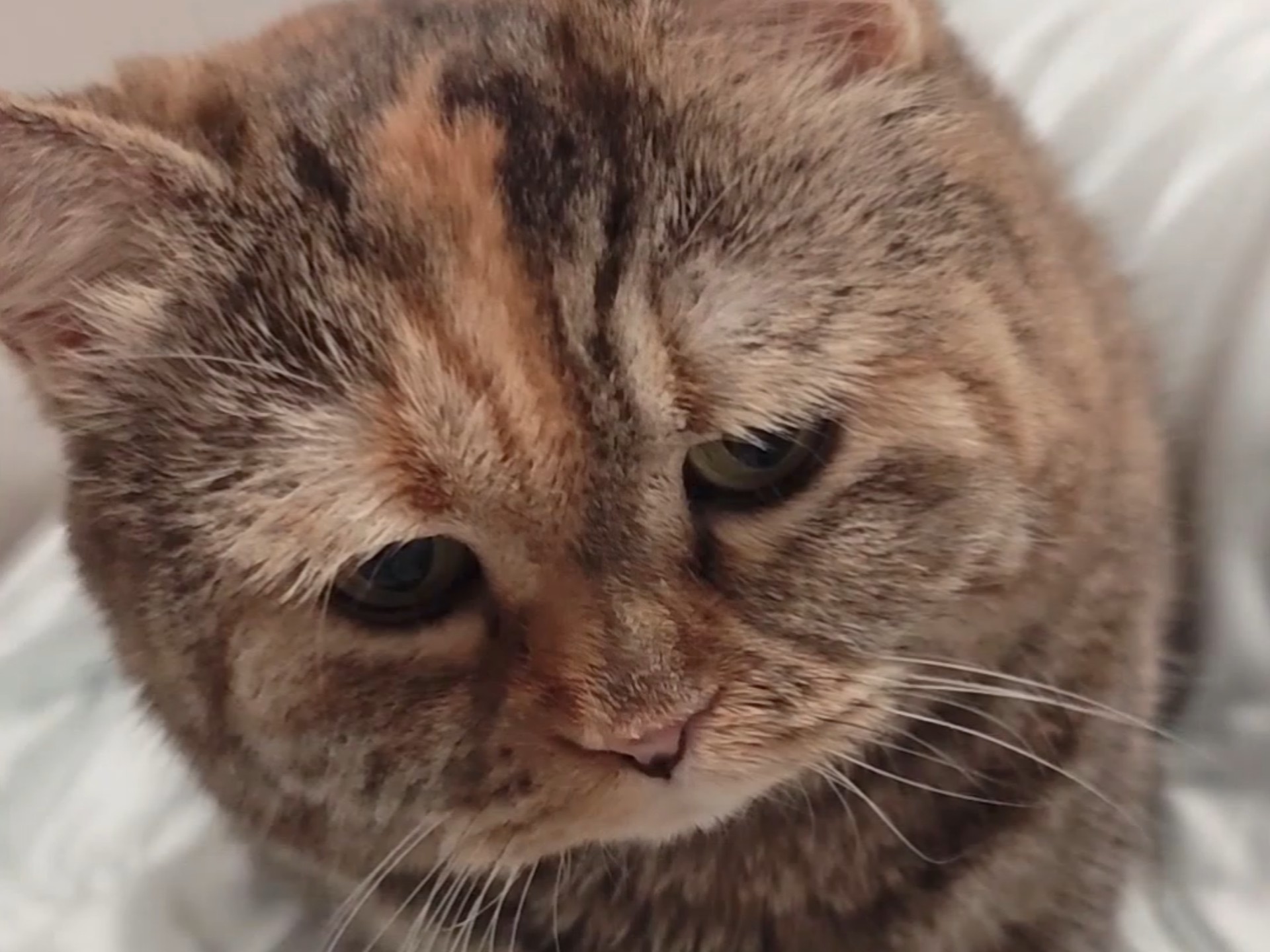 台风好可怕，我可以和你一起睡吗？