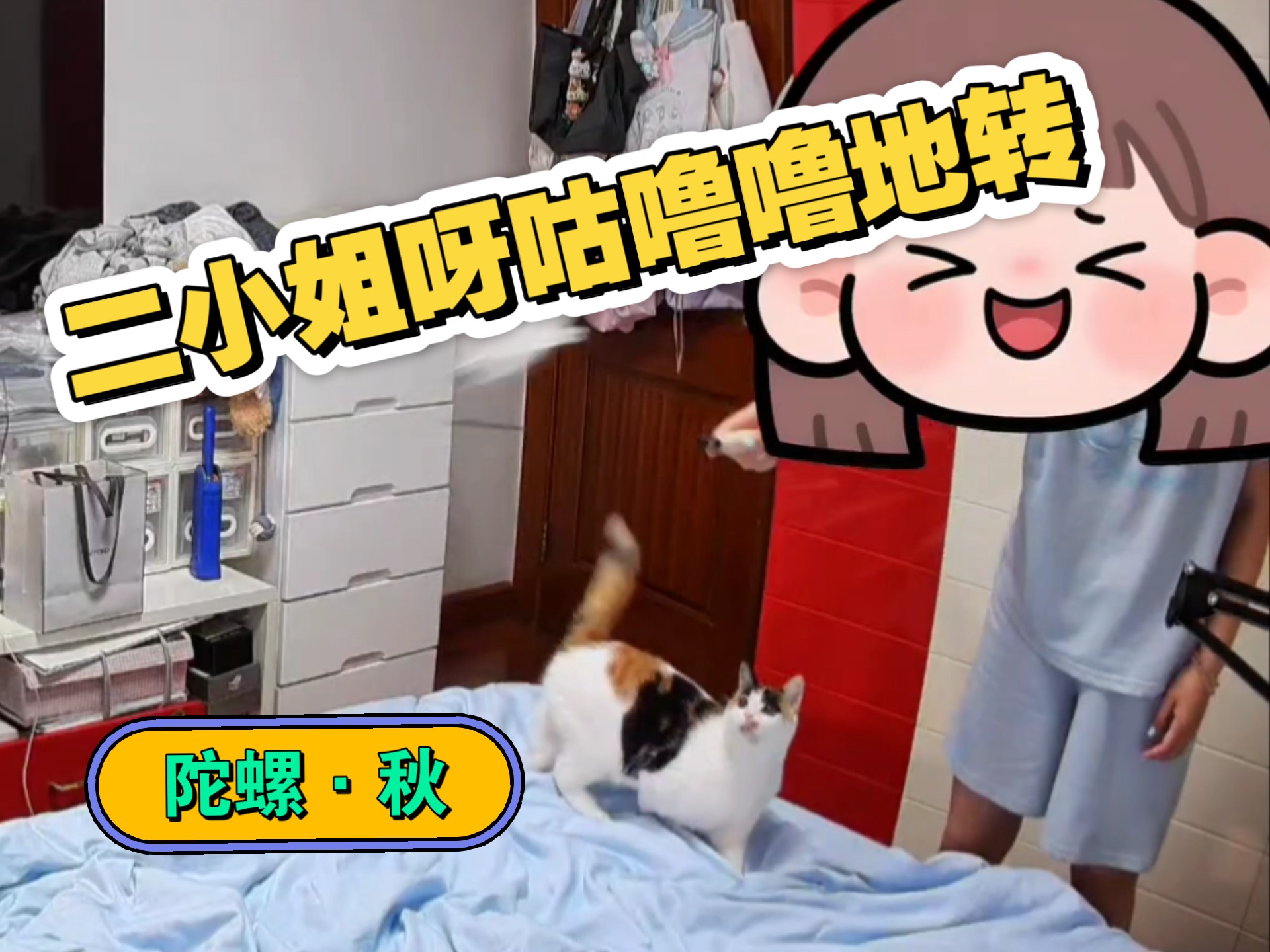 二小姐她掉…掉…诶！？掉下去啦！！(˵¯͒〰¯͒˵)