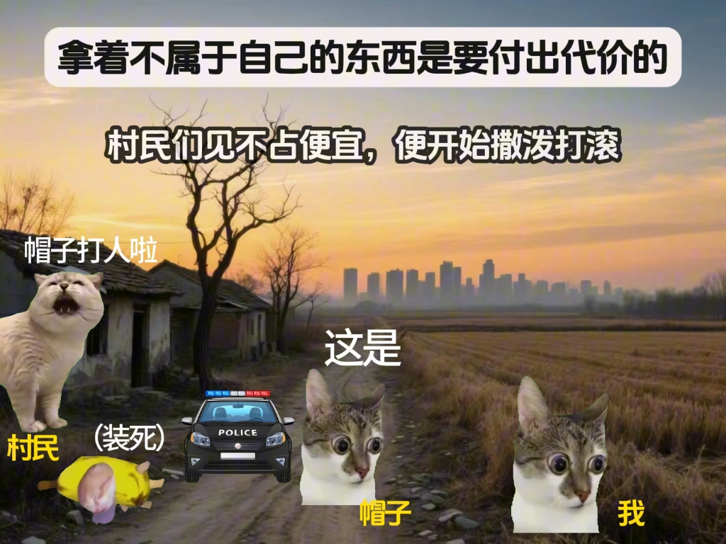 新人第一次做猫 meme，感谢支持！❤️