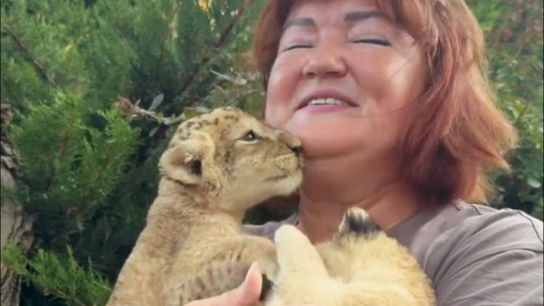 这小狮子宝宝也该轮到我抱抱了！