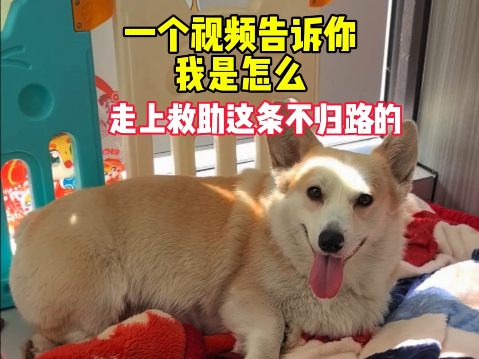别人的幸福我不知道，但对我来说失而复得就是最大的幸福了。
