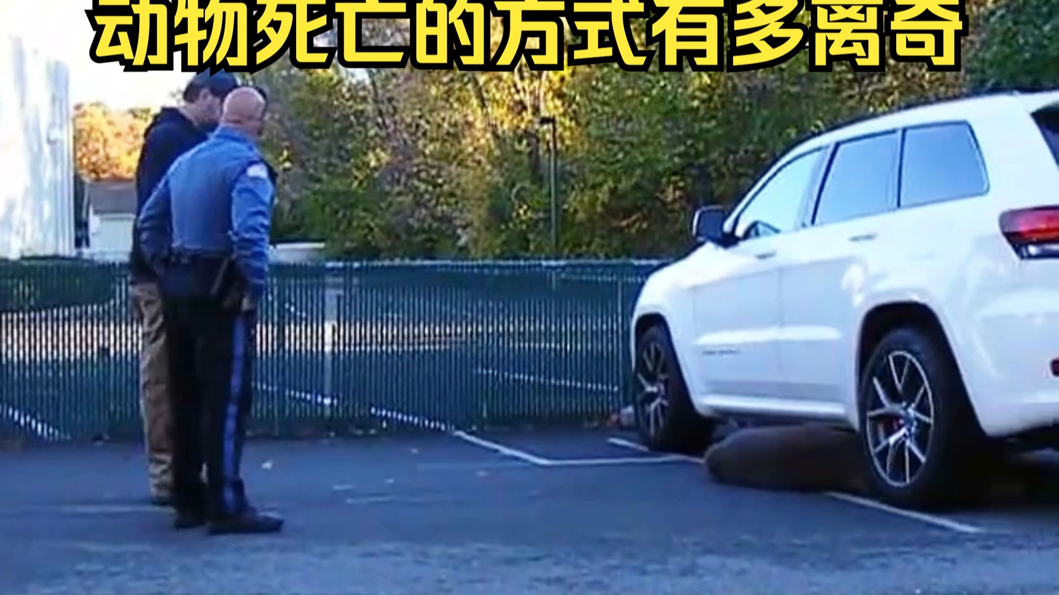 动物离奇死亡鉴定76