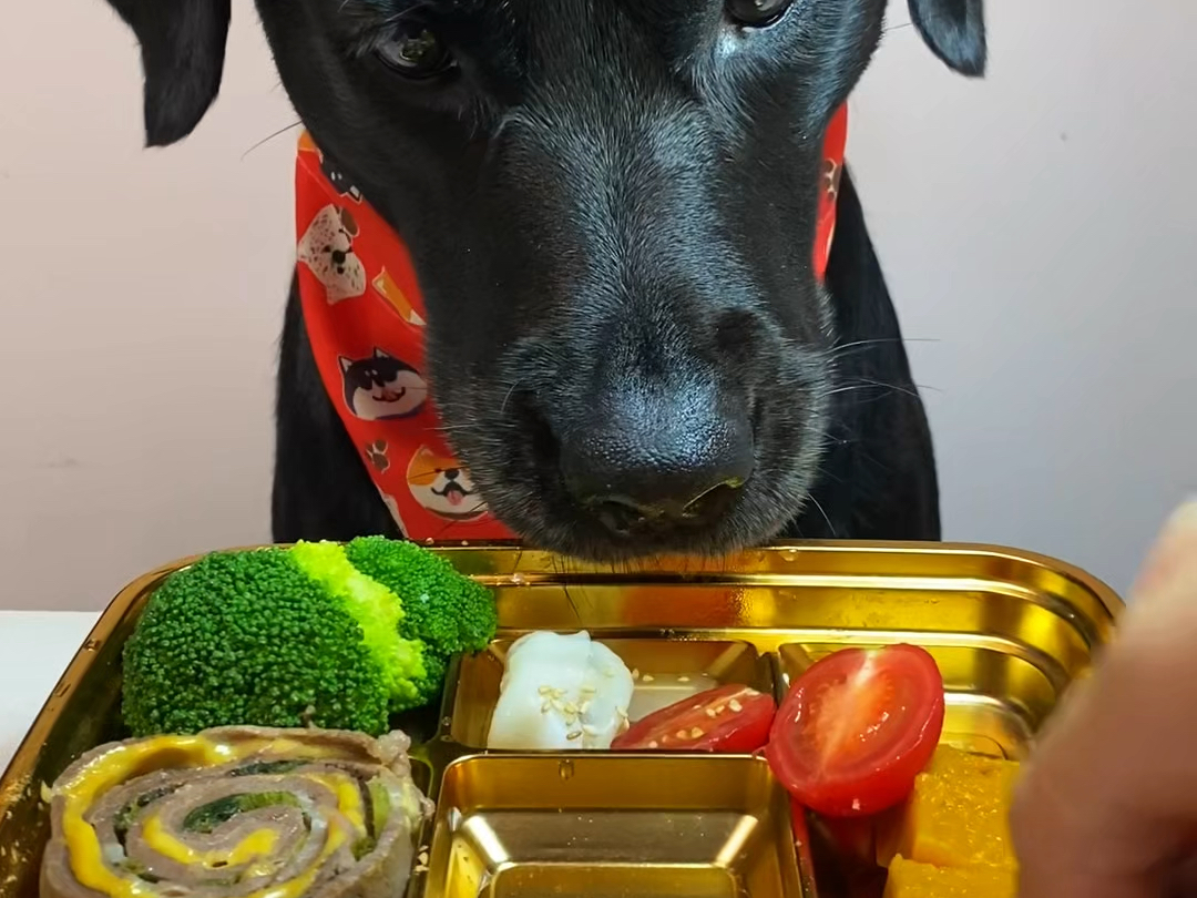 筷子勺子手都用不顺畅啊