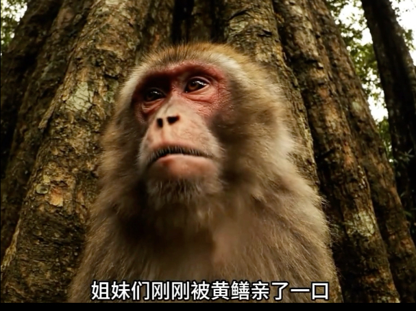 猴管让我抓黄鳝给他补补，没想到被咬一口，现在有点困了喂~