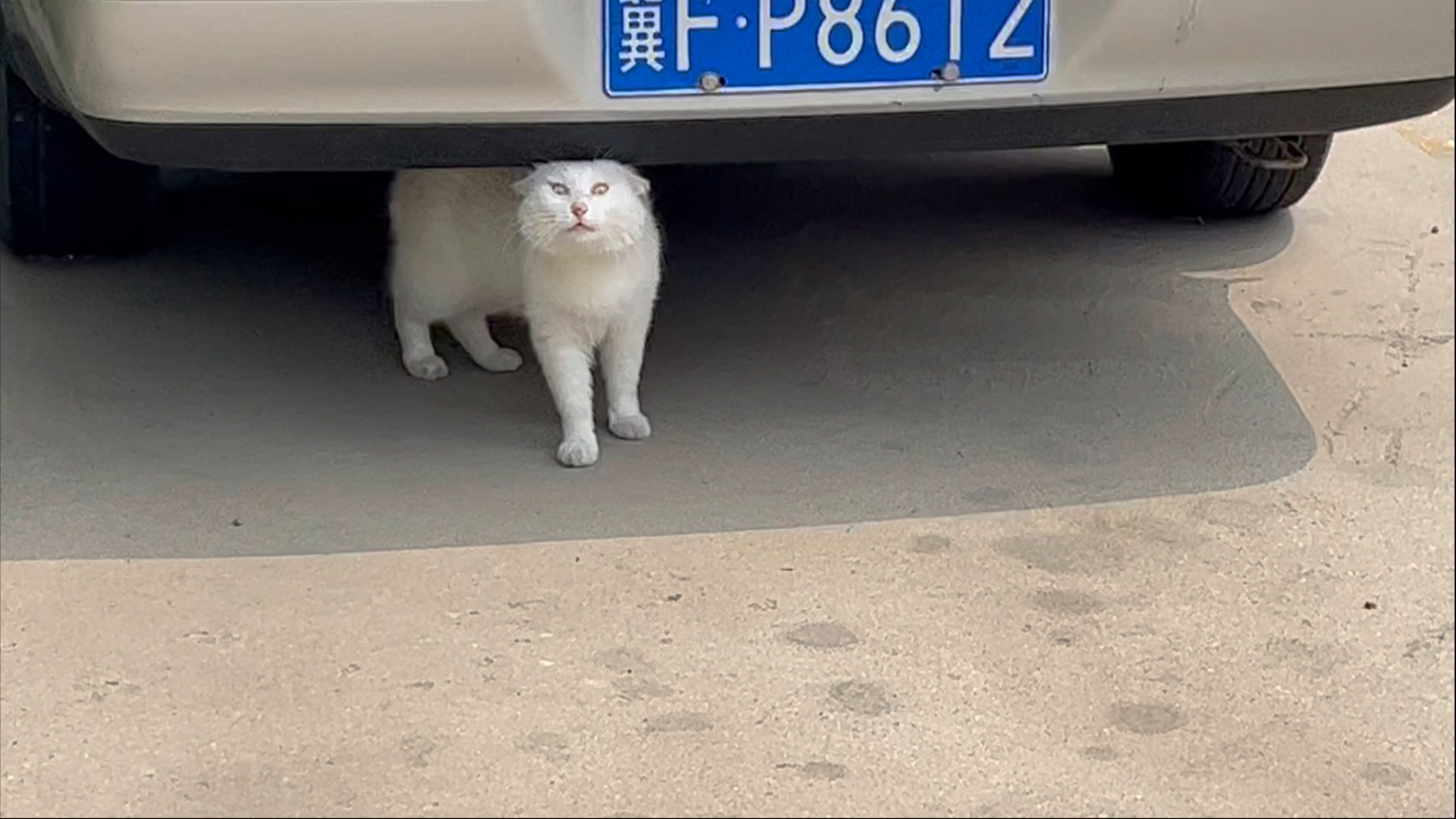 等我呐？