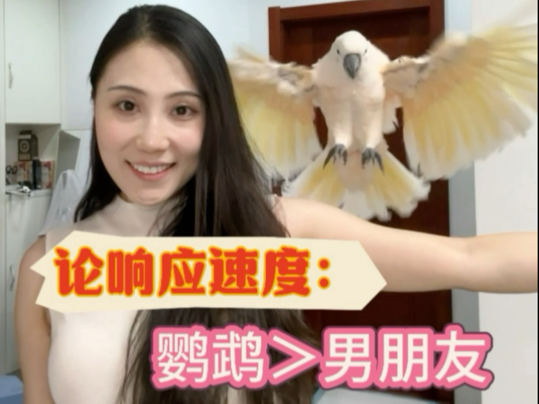论响应速度：宠物大于男友！