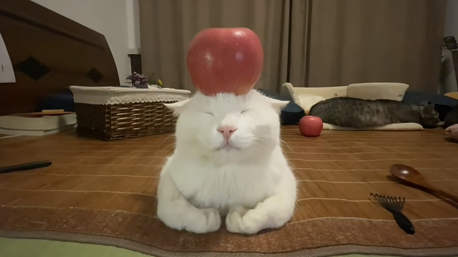 苹果垫脑，内存很小！