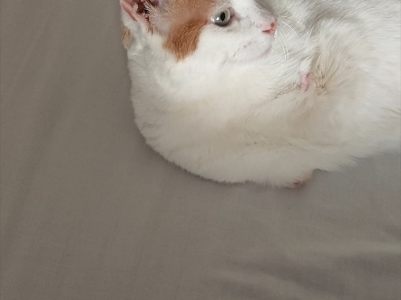 记录跟壮壮的北漂第一天